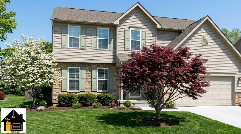 Best Tree for Front Yard
